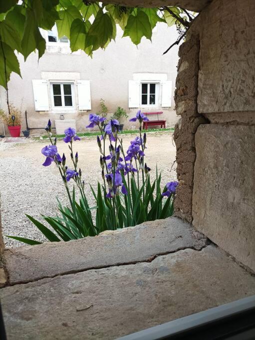 Gite De Charme - 3 Chambres, 5 Lits - De 4 A 7 Personnes Avanton Екстер'єр фото